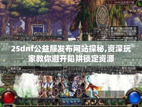25dnf公益服发布网站探秘,资深玩家教你避开陷阱锁定资源