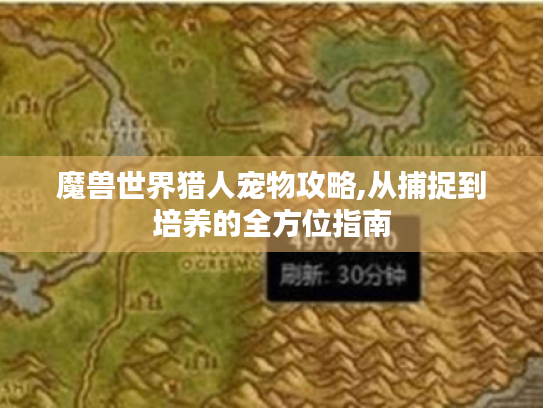 魔兽世界猎人宠物攻略,从捕捉到培养的全方位指南