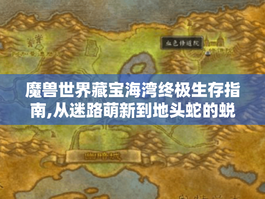 魔兽世界藏宝海湾终极生存指南,从迷路萌新到地头蛇的蜕变之路