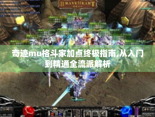 奇迹mu格斗家加点终极指南,从入门到精通全流派解析