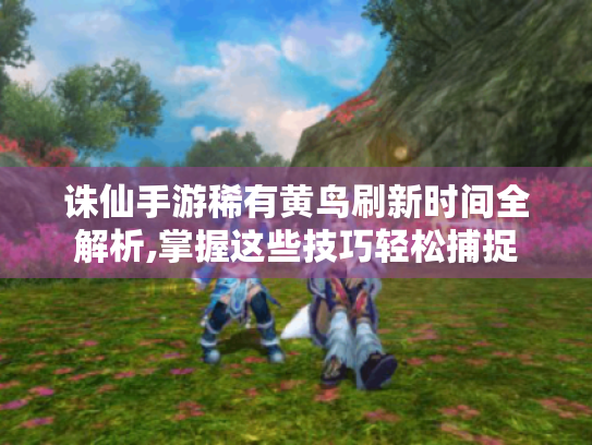 诛仙手游稀有黄鸟刷新时间全解析,掌握这些技巧轻松捕捉 诛仙手游稀有黄鸟刷新时间全解析,掌握这些技巧轻松捕捉