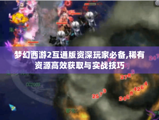 梦幻西游2互通版资深玩家必备,稀有资源高效获取与实战技巧 梦幻西游2互通版资深玩家必备,稀有资源高效获取与实战技巧