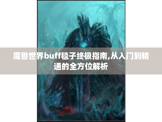 魔兽世界buff毯子终极指南,从入门到精通的全方位解析