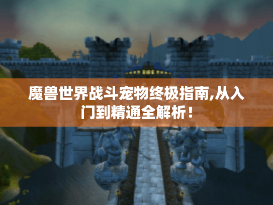 魔兽世界战斗宠物终极指南,从入门到精通全解析！