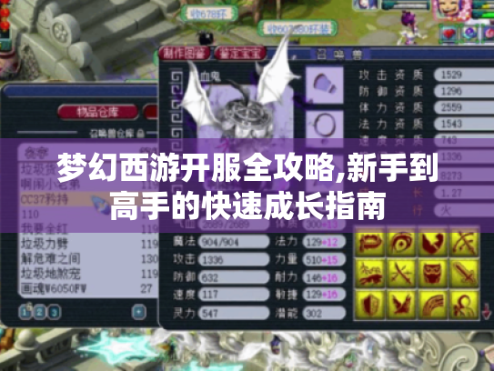 梦幻西游开服全攻略,新手到高手的快速成长指南