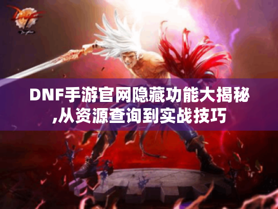 DNF手游官网隐藏功能大揭秘,从资源查询到实战技巧