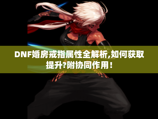 DNF婚房戒指属性全解析,如何获取提升?附协同作用！