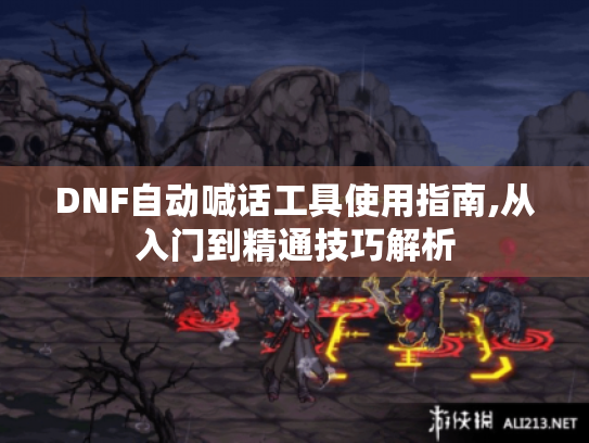 DNF自动喊话工具使用指南,从入门到精通技巧解析