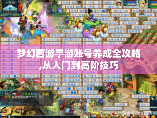 梦幻西游手游账号养成全攻略,从入门到高阶技巧