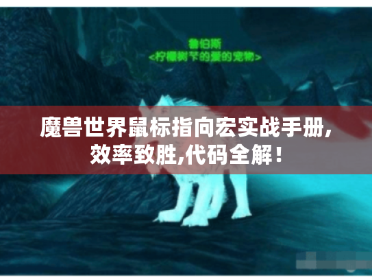 魔兽世界鼠标指向宏实战手册,效率致胜,代码全解！