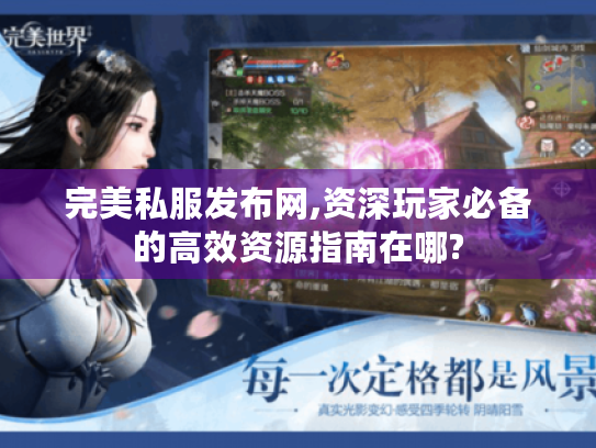 完美私服发布网,资深玩家必备的高效资源指南在哪?