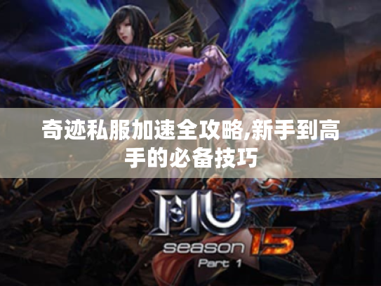 奇迹私服加速全攻略,新手到高手的必备技巧