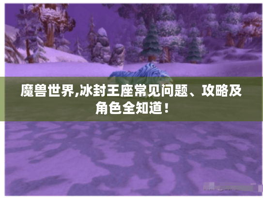 魔兽世界,冰封王座常见问题、攻略及角色全知道！