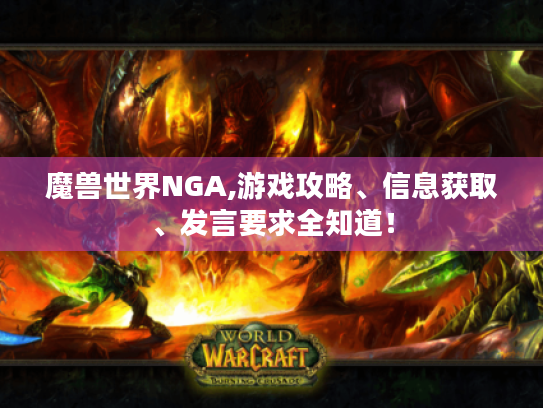 魔兽世界NGA,游戏攻略、信息获取、发言要求全知道! 魔兽世界NGA,游戏攻略、信息获取、发言要求全知道!