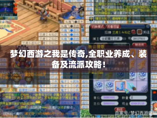 梦幻西游之我是传奇,全职业养成、装备及流派攻略! 梦幻西游之我是传奇,全职业养成、装备及流派攻略!