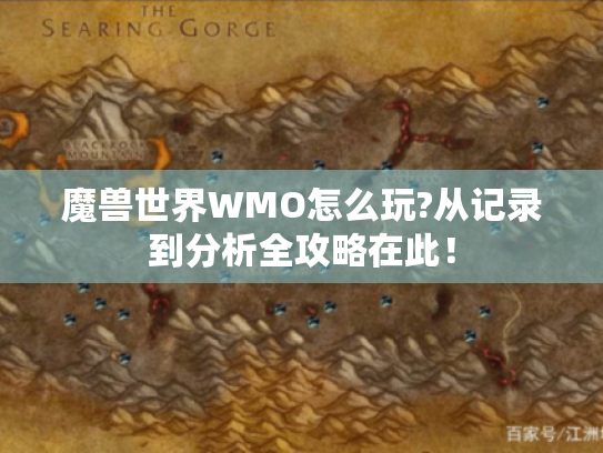 魔兽世界WMO怎么玩?从记录到分析全攻略在此！