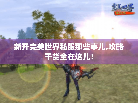 新开完美世界私服那些事儿,攻略干货全在这儿！
