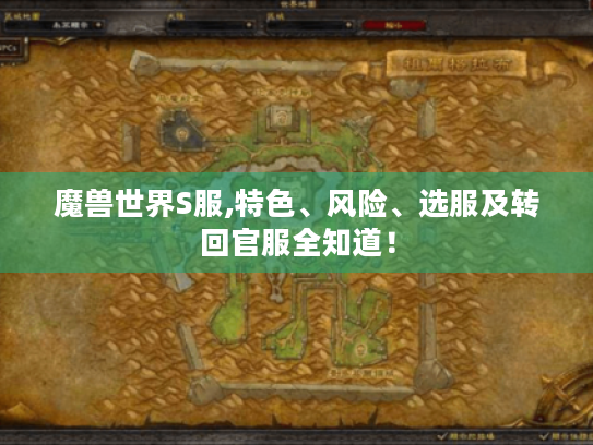 魔兽世界S服,特色、风险、选服及转回官服全知道！