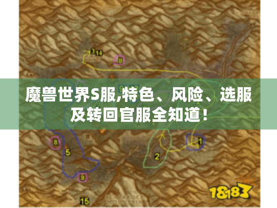魔兽世界S服,特色、风险、选服及转回官服全知道！