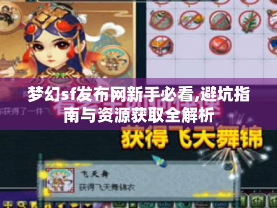 梦幻sf发布网新手必看,避坑指南与资源获取全解析