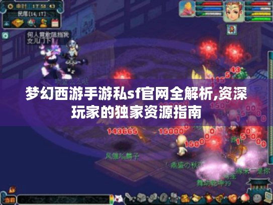 梦幻西游手游私sf官网全解析,资深玩家的独家资源指南