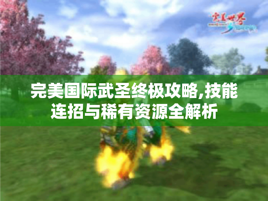 完美国际武圣终极攻略,技能连招与稀有资源全解析
