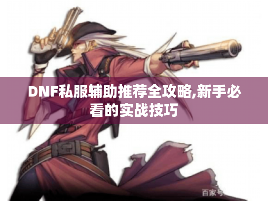 DNF私服辅助推荐全攻略,新手必看的实战技巧 DNF私服辅助推荐全攻略,新手必看的实战技巧