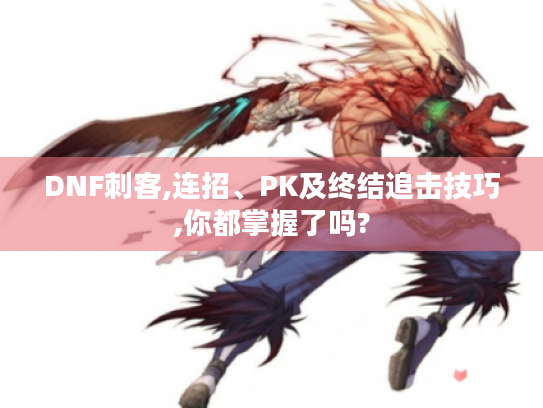 DNF刺客,连招、PK及终结追击技巧,你都掌握了吗?