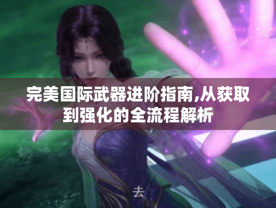 完美国际武器进阶指南,从获取到强化的全流程解析