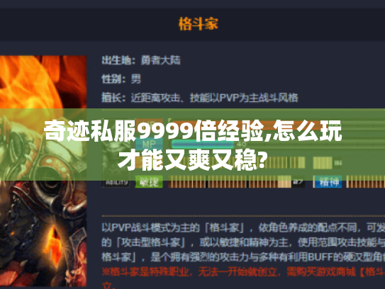 奇迹私服9999倍经验,怎么玩才能又爽又稳? 奇迹私服9999倍经验,怎么玩才能又爽又稳?