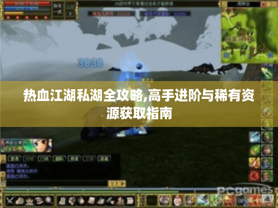 热血江湖私湖全攻略,高手进阶与稀有资源获取指南