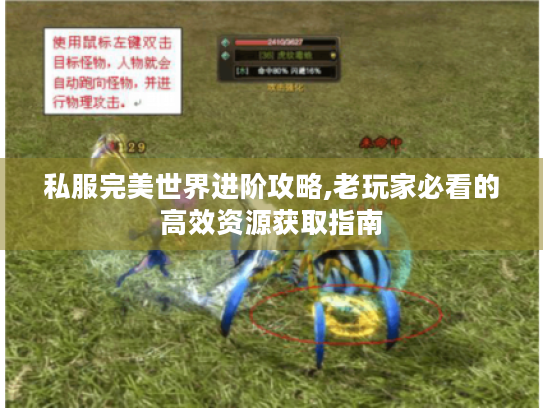 私服完美世界进阶攻略,老玩家必看的高效资源获取指南