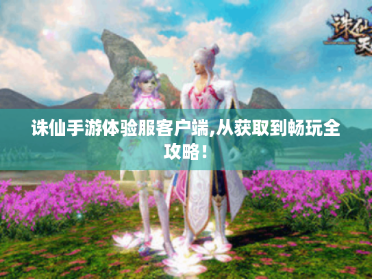 诛仙手游体验服客户端,从获取到畅玩全攻略！