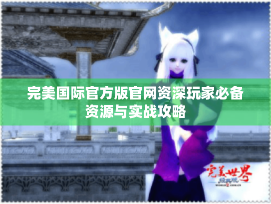 完美国际官方版官网资深玩家必备资源与实战攻略