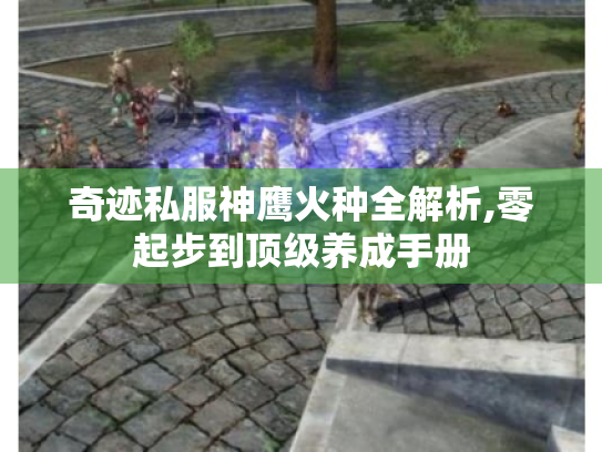 奇迹私服神鹰火种全解析,零起步到顶级养成手册