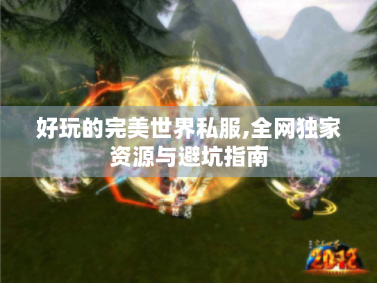 好玩的完美世界私服,全网独家资源与避坑指南