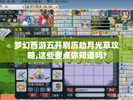 梦幻西游五开刷历劫月光草攻略,这些要点你知道吗?