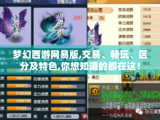 梦幻西游网易版,交易、畅玩、区分及特色,你想知道的都在这！