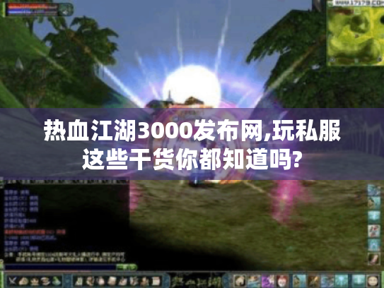 热血江湖3000发布网,玩私服这些干货你都知道吗?