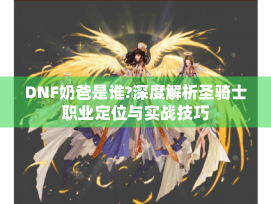 DNF奶爸是谁?深度解析圣骑士职业定位与实战技巧