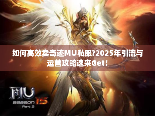 如何高效卖奇迹MU私服?2025年引流与运营攻略速来Get! 如何高效卖奇迹MU私服?2025年引流与运营攻略速来Get!