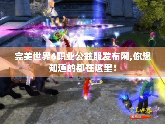 完美世界6职业公益服发布网,你想知道的都在这里！