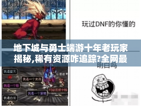 地下城与勇士端游十年老玩家揭秘,稀有资源咋追踪?全网最全！