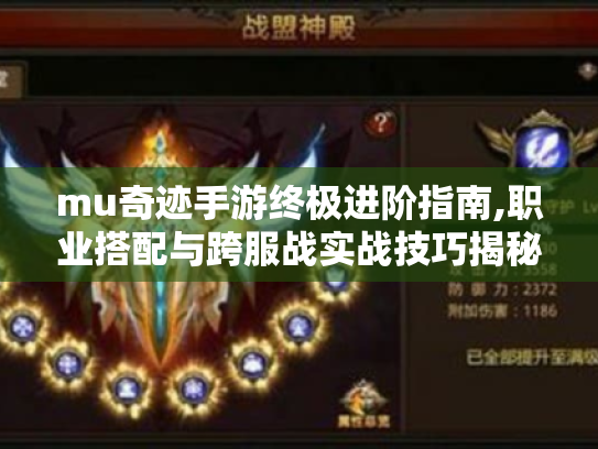 mu奇迹手游终极进阶指南,职业搭配与跨服战实战技巧揭秘