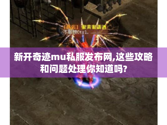 新开奇迹mu私服发布网,这些攻略和问题处理你知道吗?