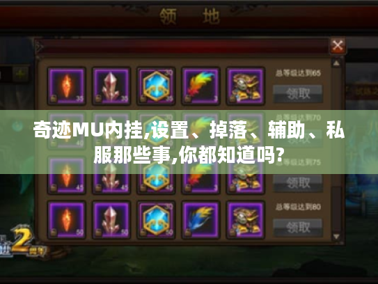奇迹MU内挂,设置、掉落、辅助、私服那些事,你都知道吗?