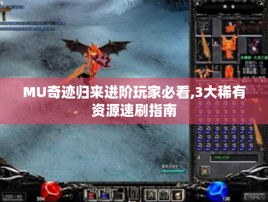 MU奇迹归来进阶玩家必看,3大稀有资源速刷指南