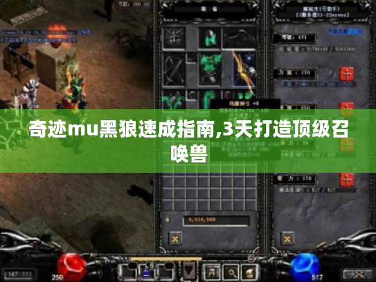 奇迹mu黑狼速成指南,3天打造顶级召唤兽