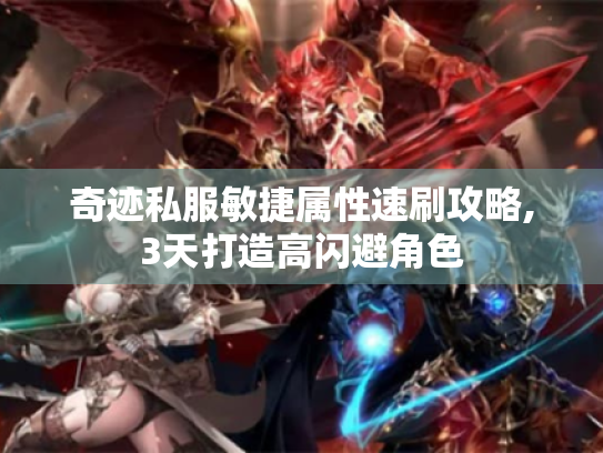 奇迹私服敏捷属性速刷攻略,3天打造高闪避角色