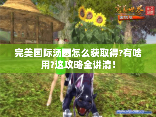 完美国际汤圆怎么获取得?有啥用?这攻略全讲清！